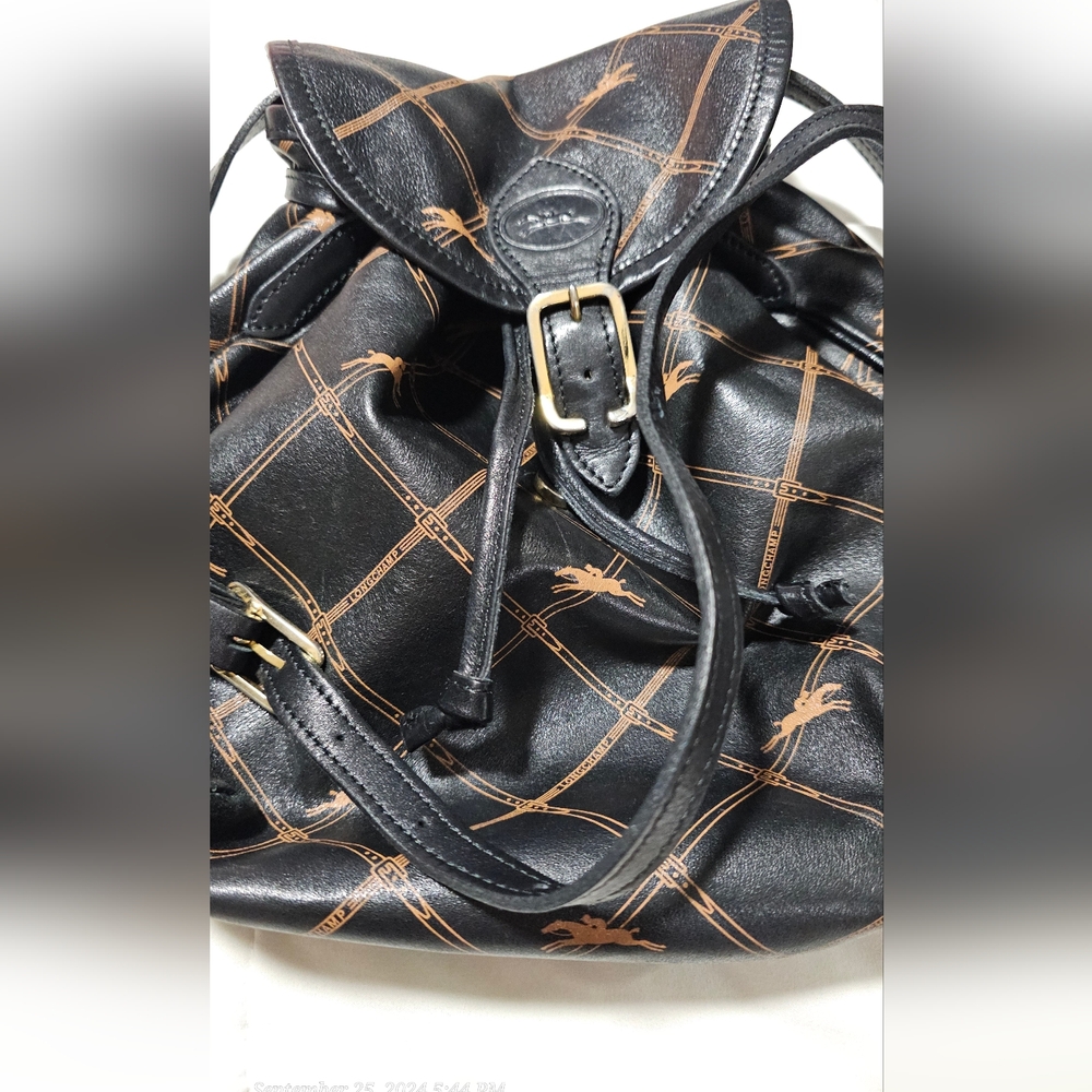 Vintage Longchamp Crossbody